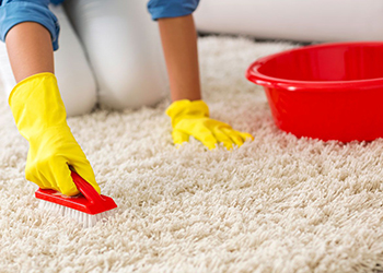 Carpet And Rug Cleaning Morden