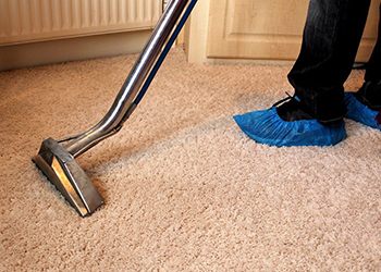 Carpet And Rug Cleaning Highbury