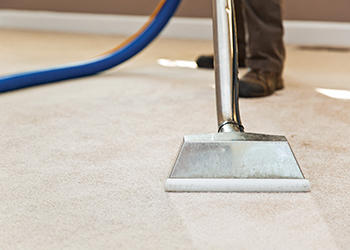 Carpet And Rug Cleaning Surbiton